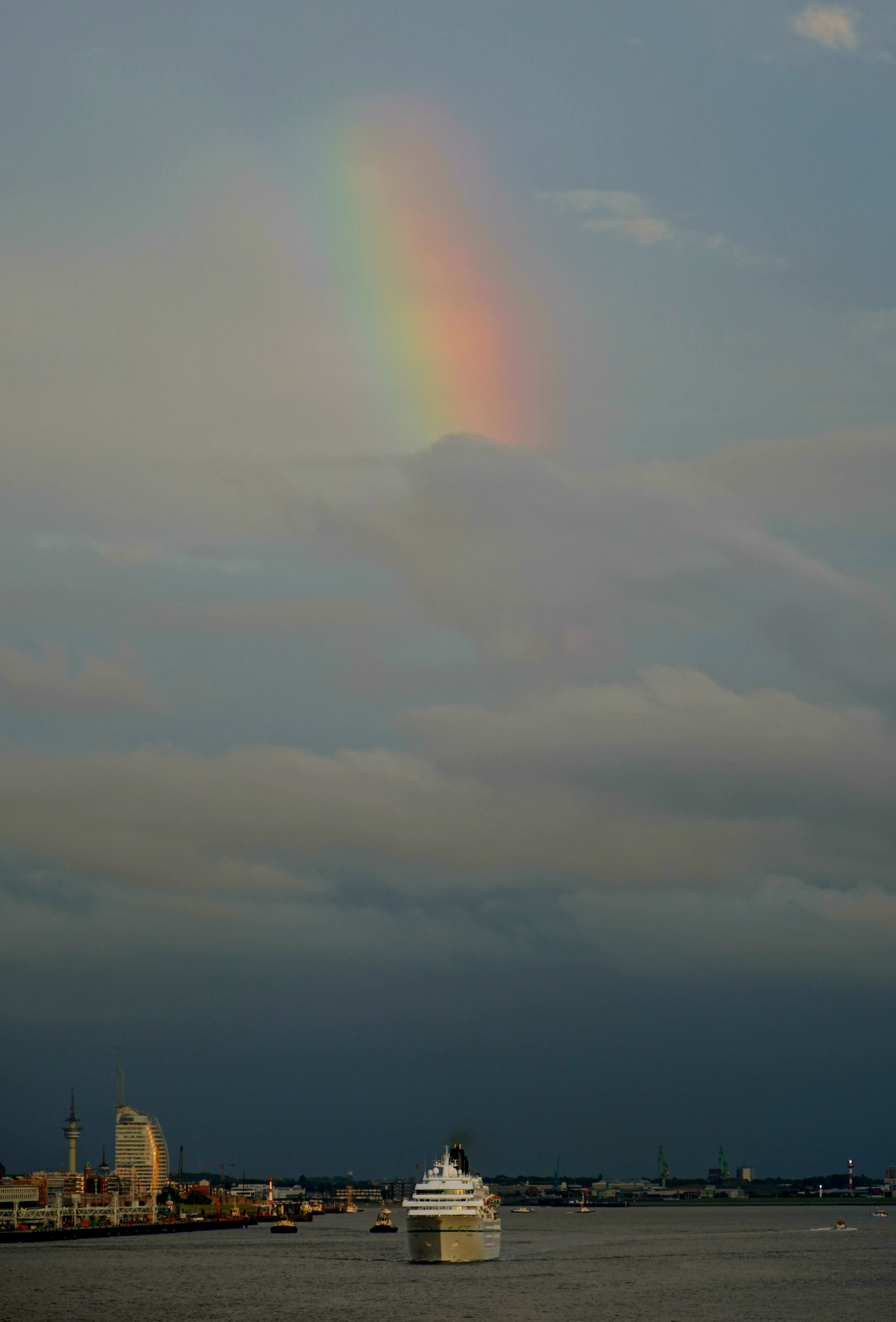 MS Amadea Bremerhaven 16.08.2024