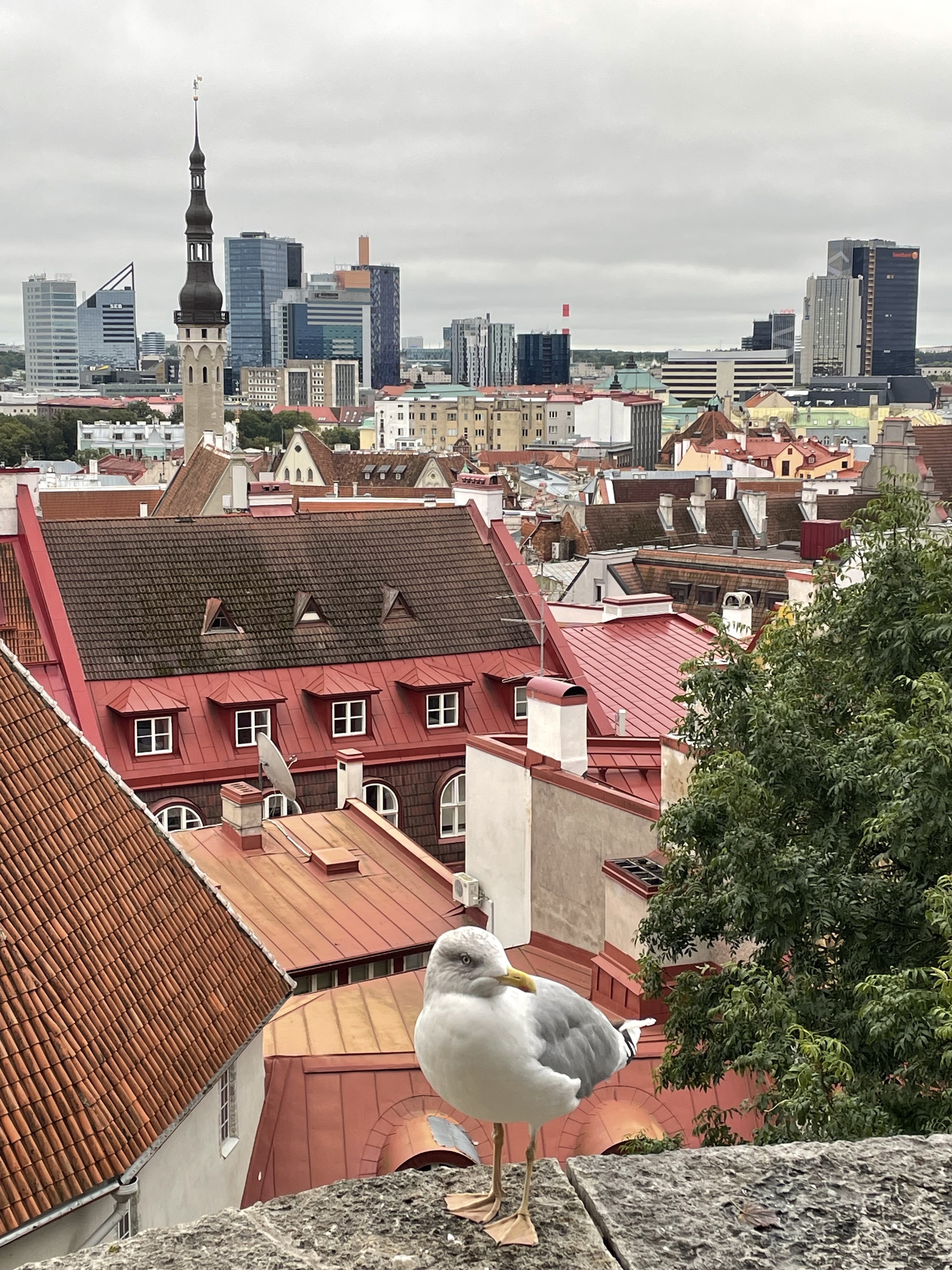 zur Aussichtsplattform in der Oberstadt