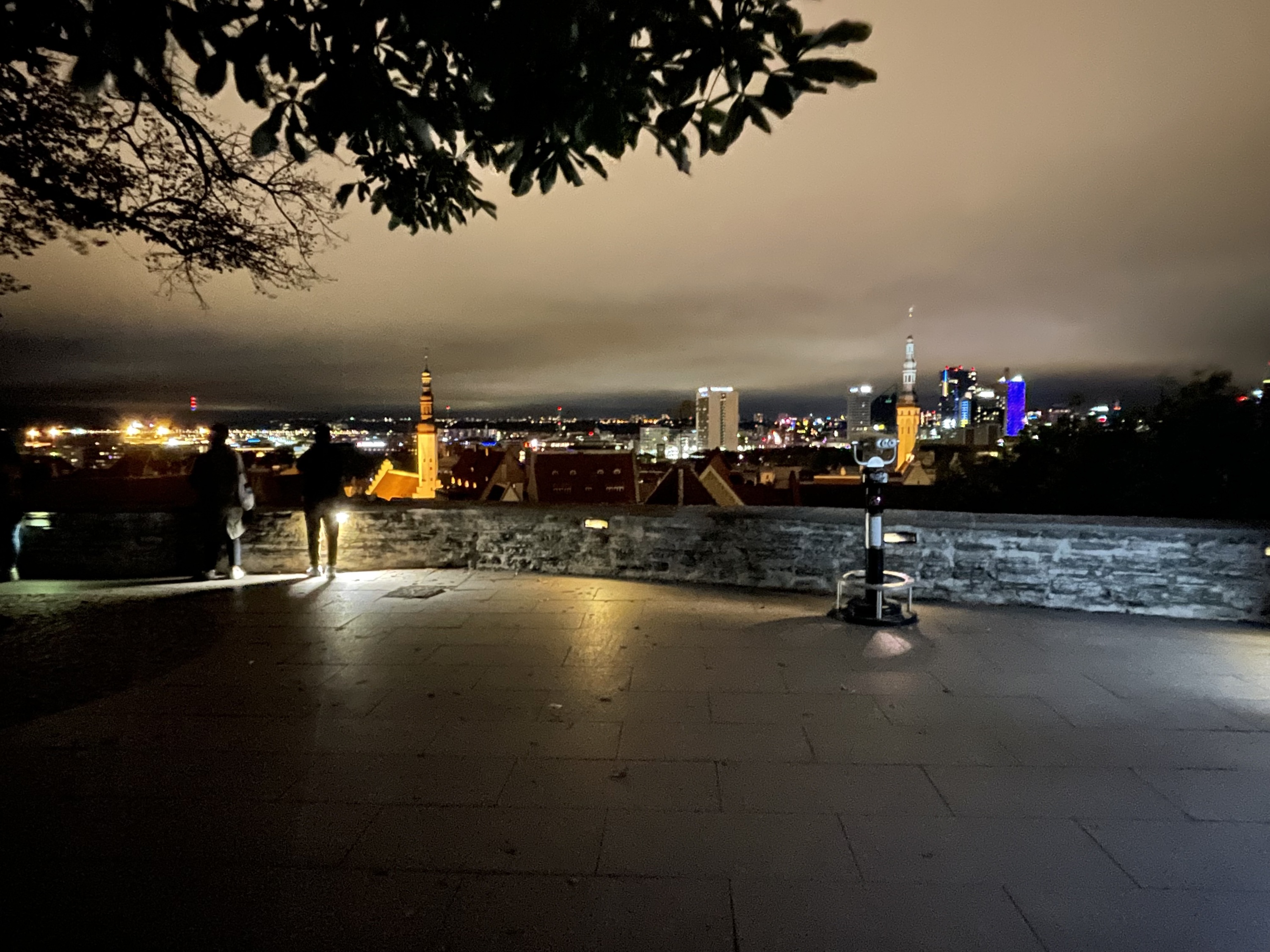 dann nochmal zur Aussichtsplattform hoch um Tallinn bei Nacht zu sehen