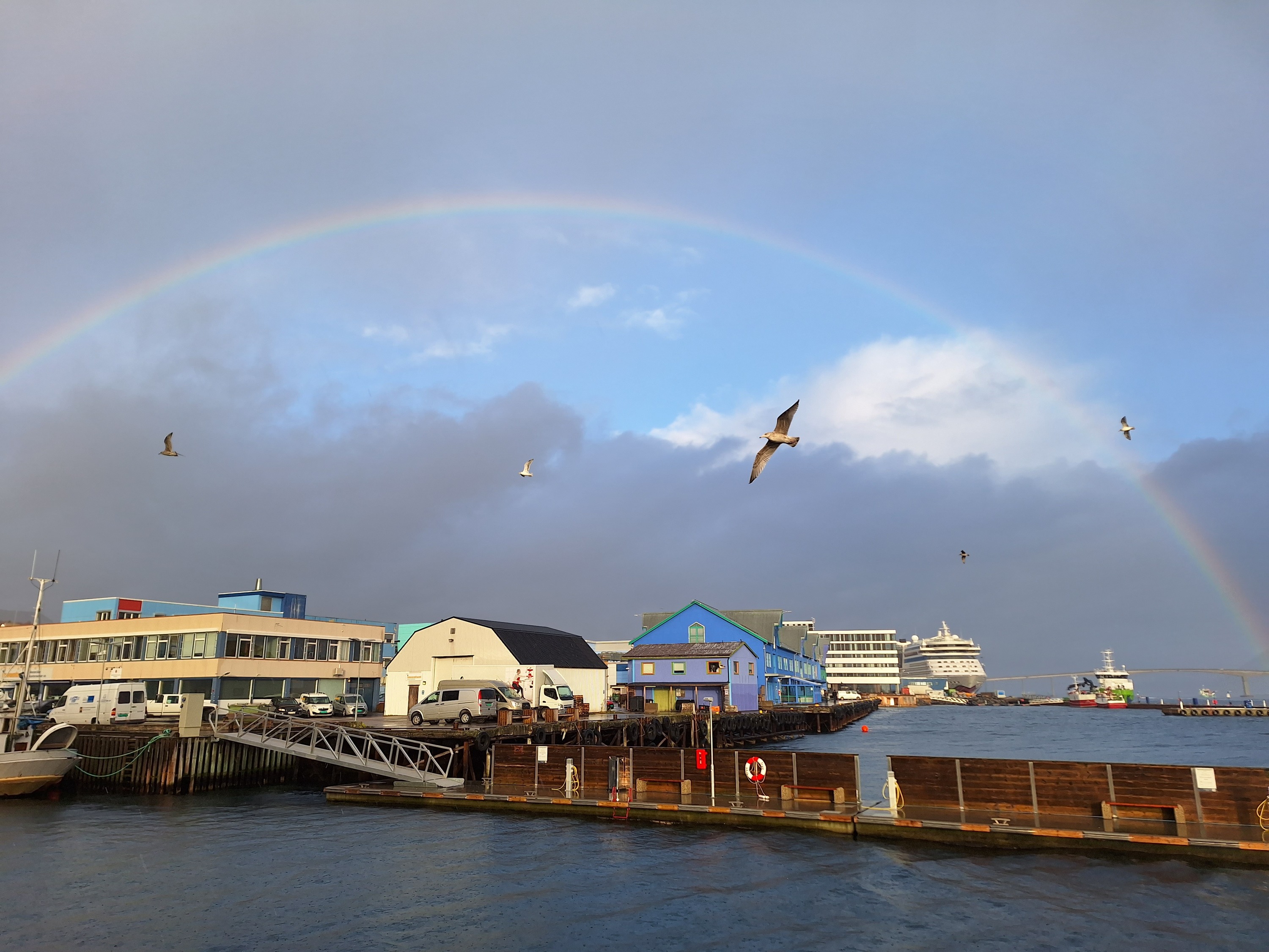 Regenbogen in Sortland