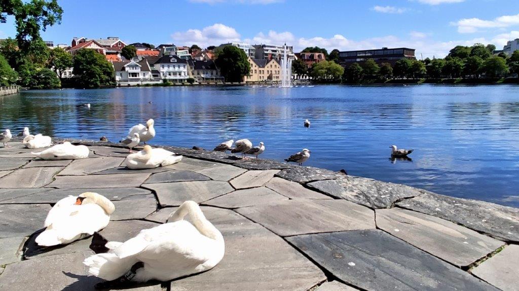 Topwetter in Stavanger - hoffentlich auch in der nächsten Woche!