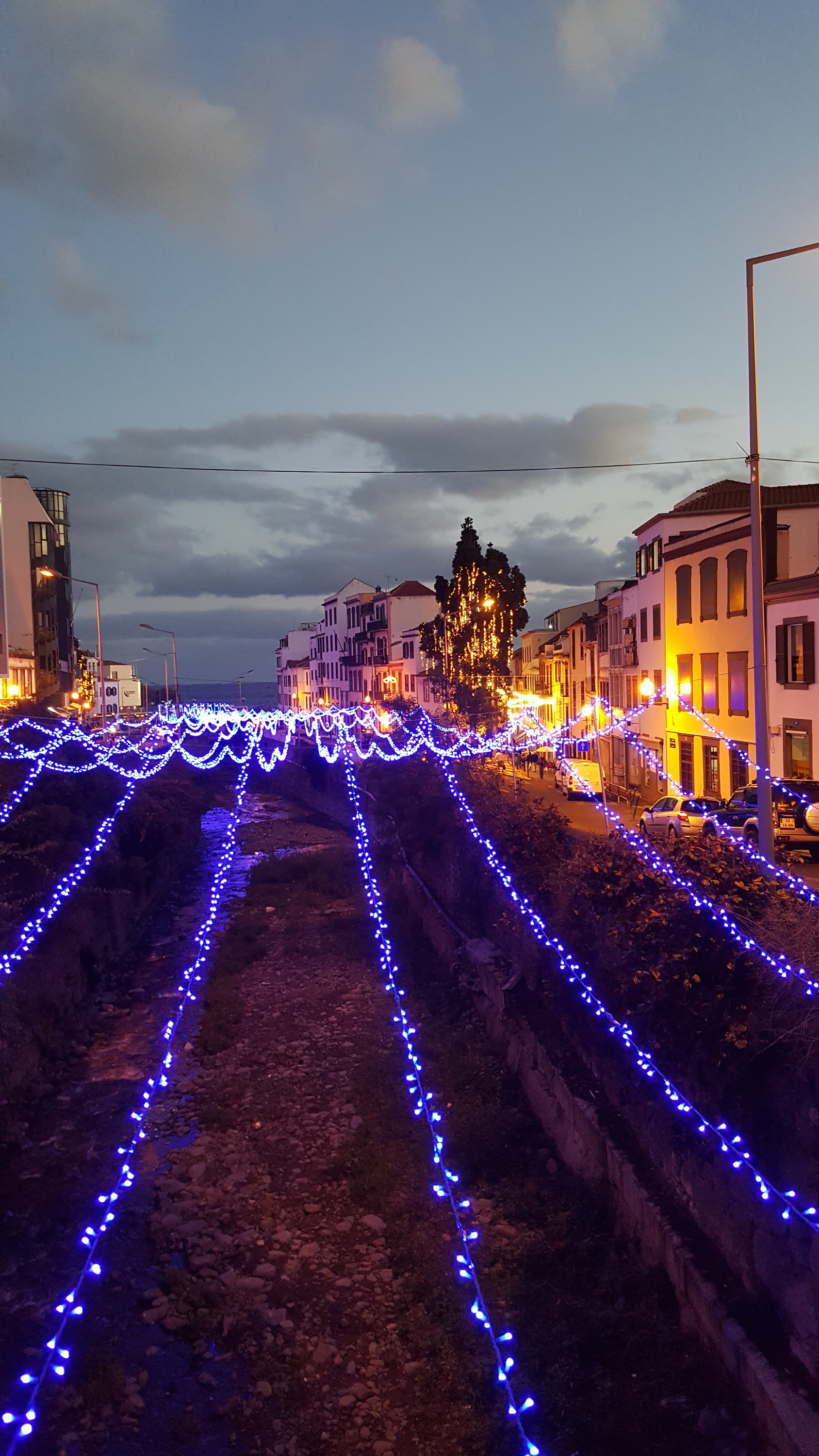 Madeira Weihnachtsbeleuchtung