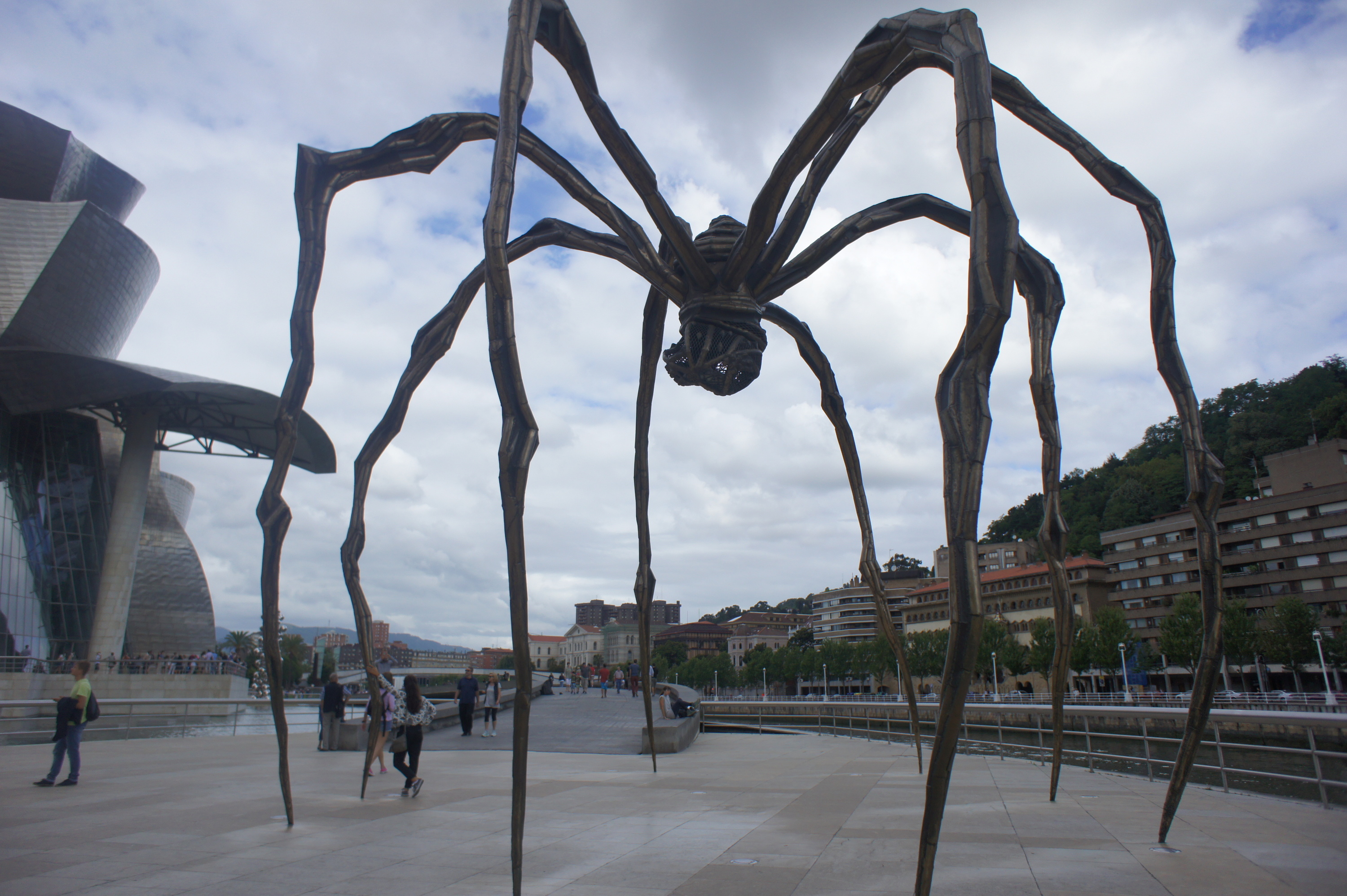 Spinne in Bilbao