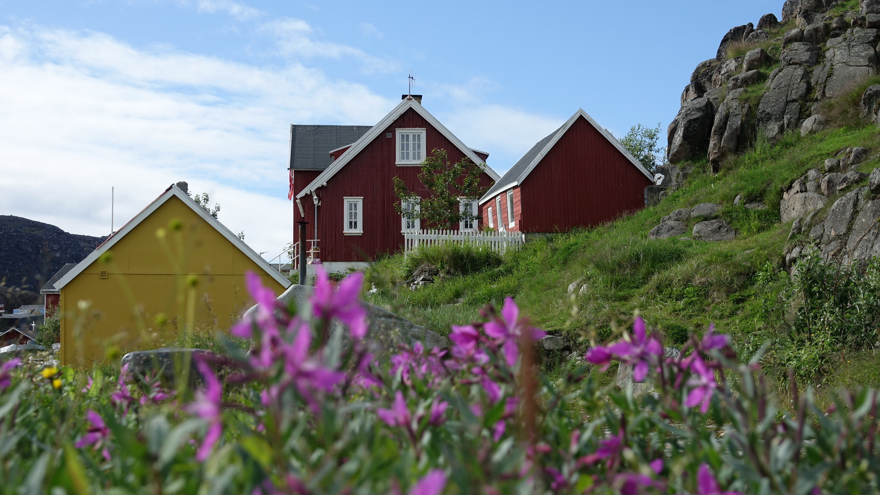 Qaqortoq_26-08-18_2