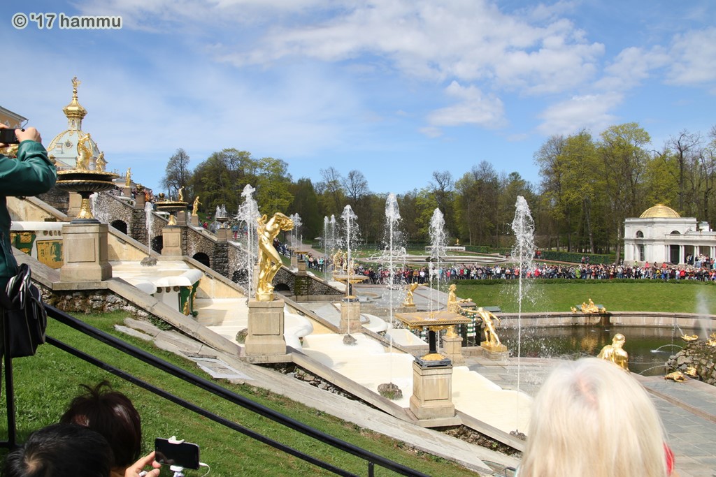 AIDAmar - Ostsee 20.05.-27.05.17 - 09 Peterhof