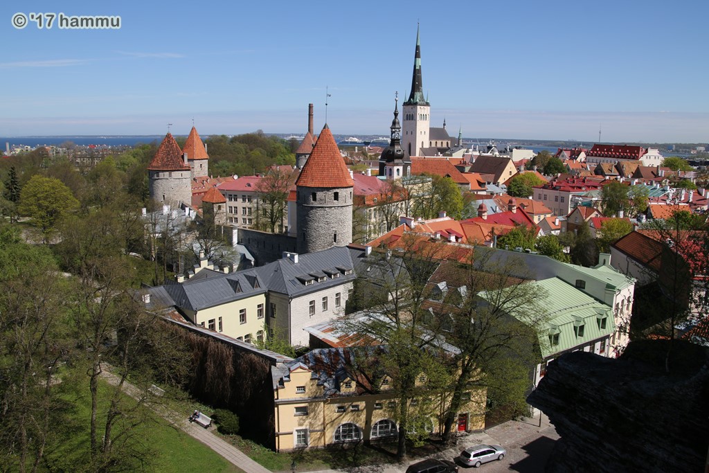 AIDAmar - Ostsee 20.05.-27.05.17 - 07 Tallinn