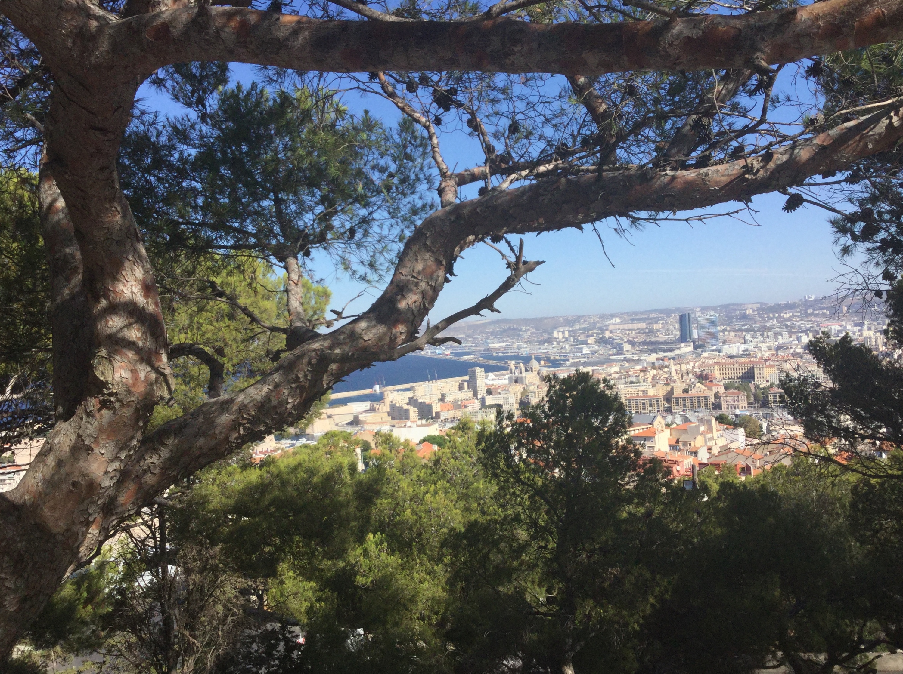 Marseille von oben