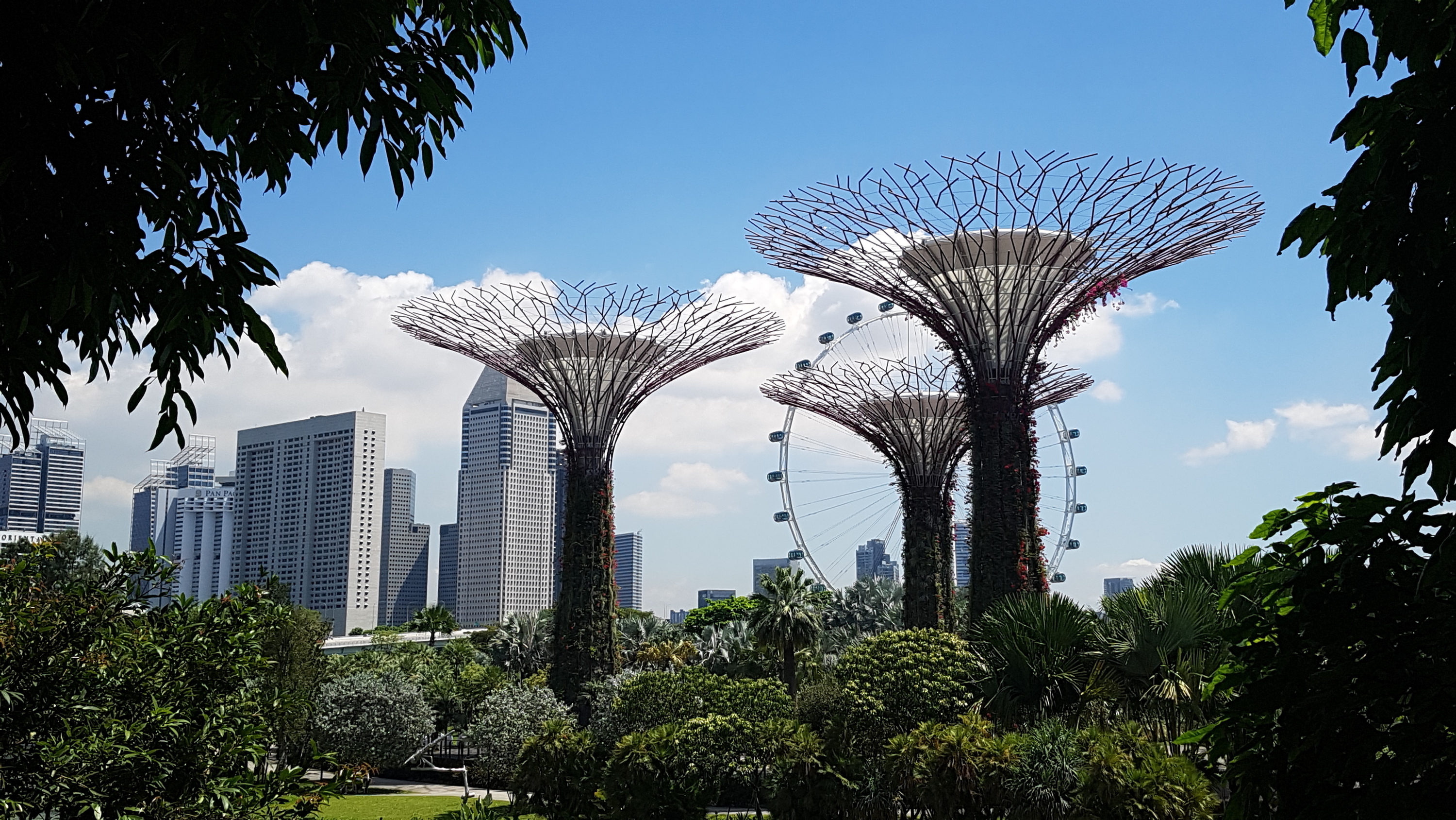 Singapur