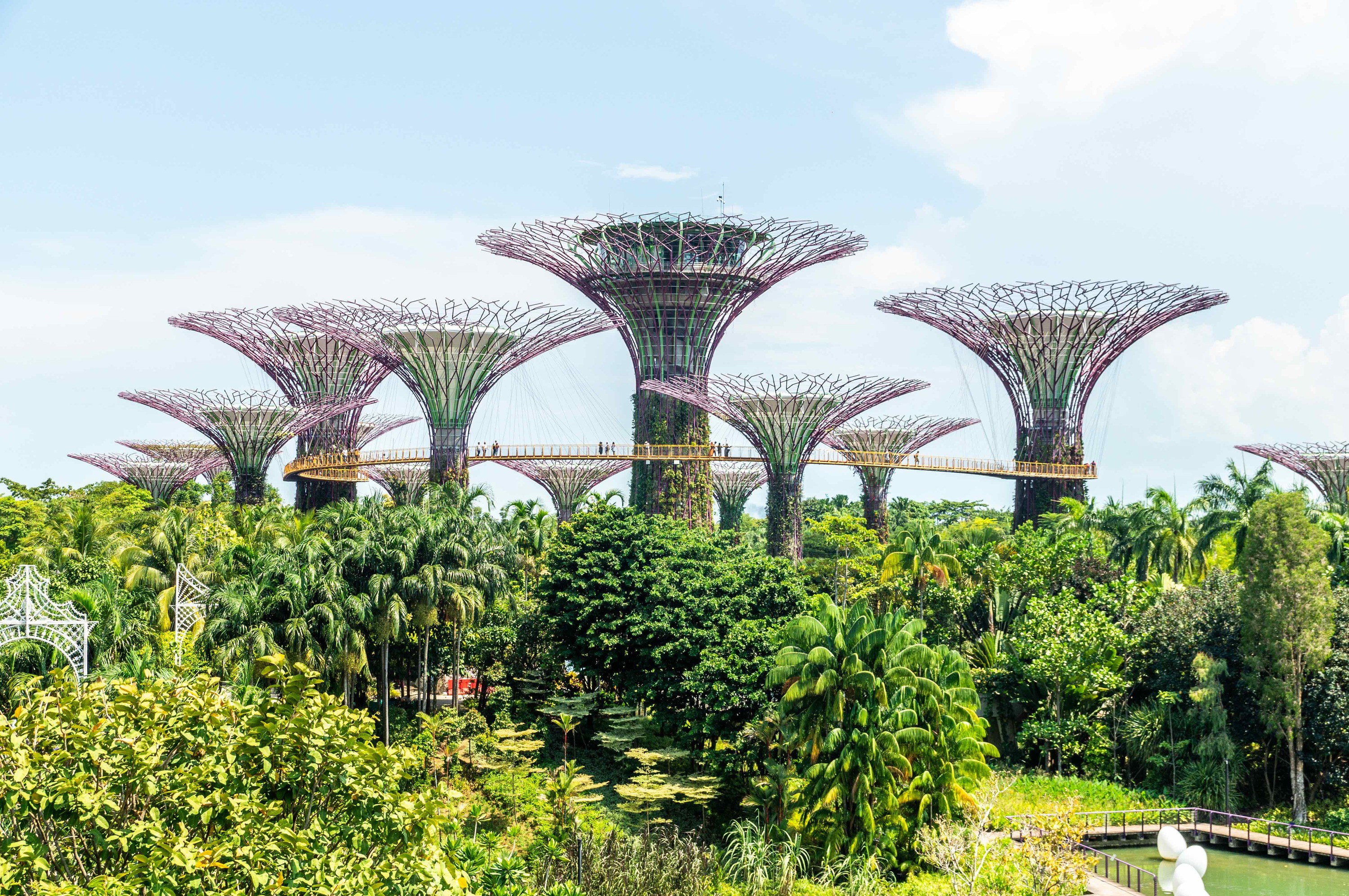 Singapur - Gardens by the Bay1