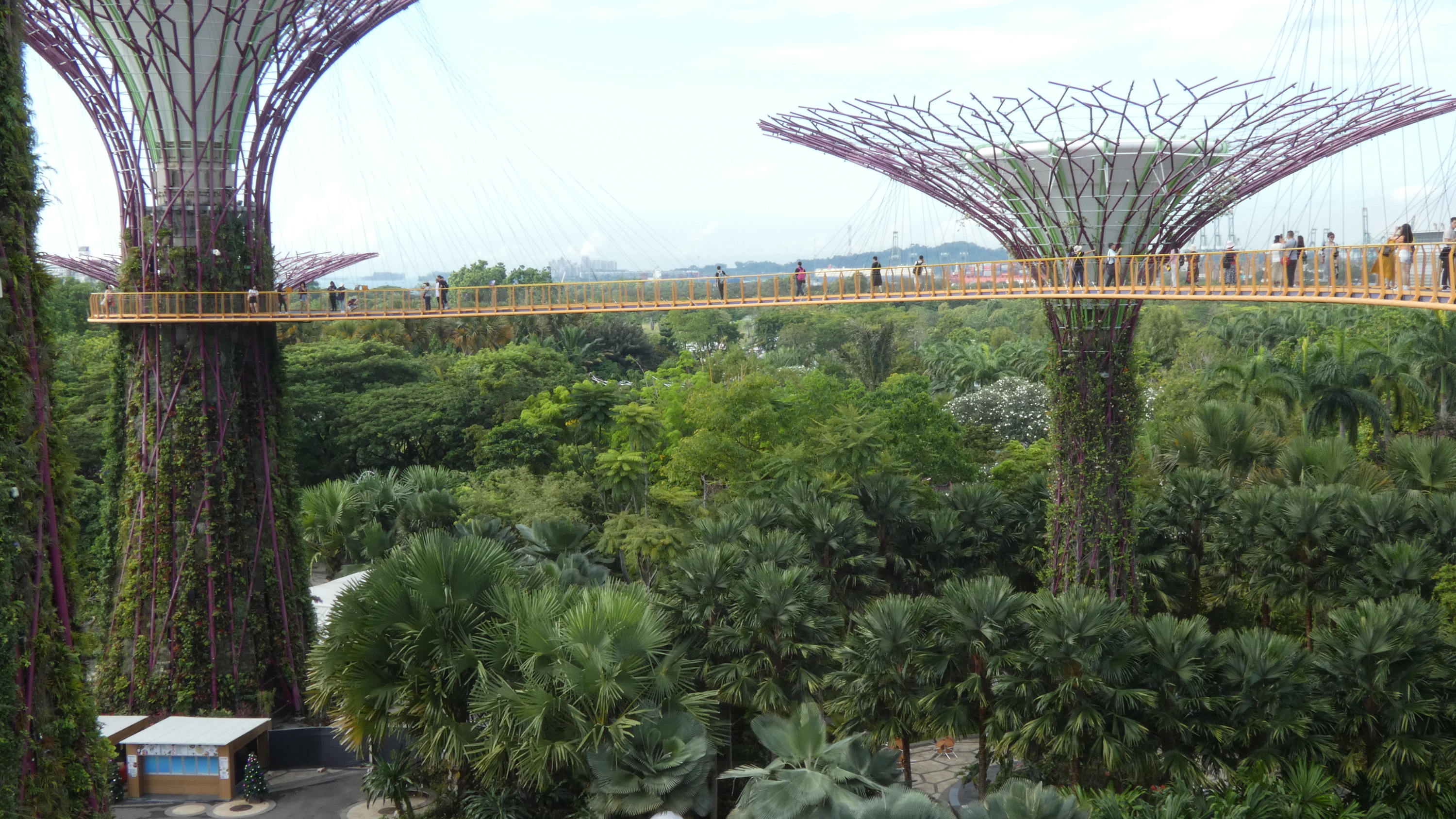 Supertrees - Gardens by the Bay, Singapur
