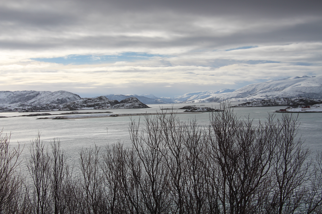 Schwelge in Erinnerungen : AIDAcara Winter im hohen Norden, Highlight-Reise mit Wiederholungs-Suchtgefahr ;-)