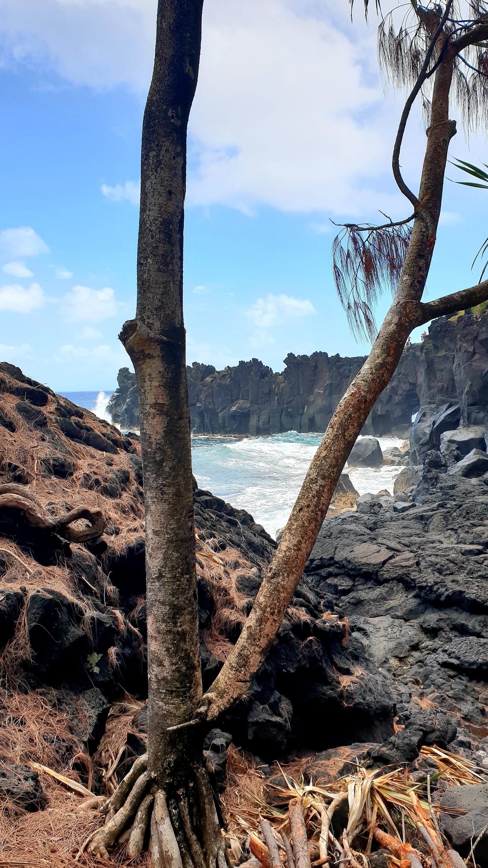 Cap Mêchant auf La Reunion