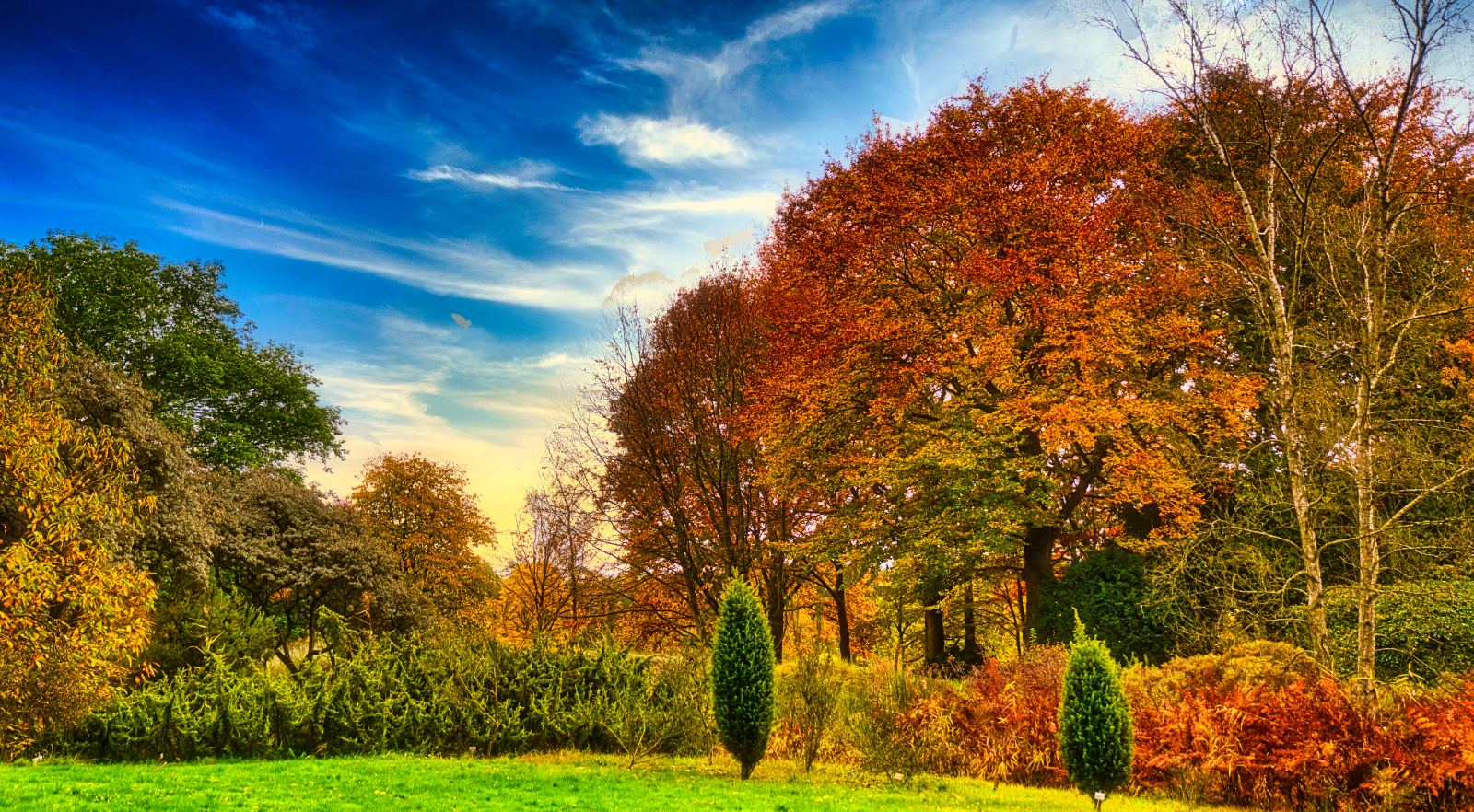 Herbstfarben Oktober 2020