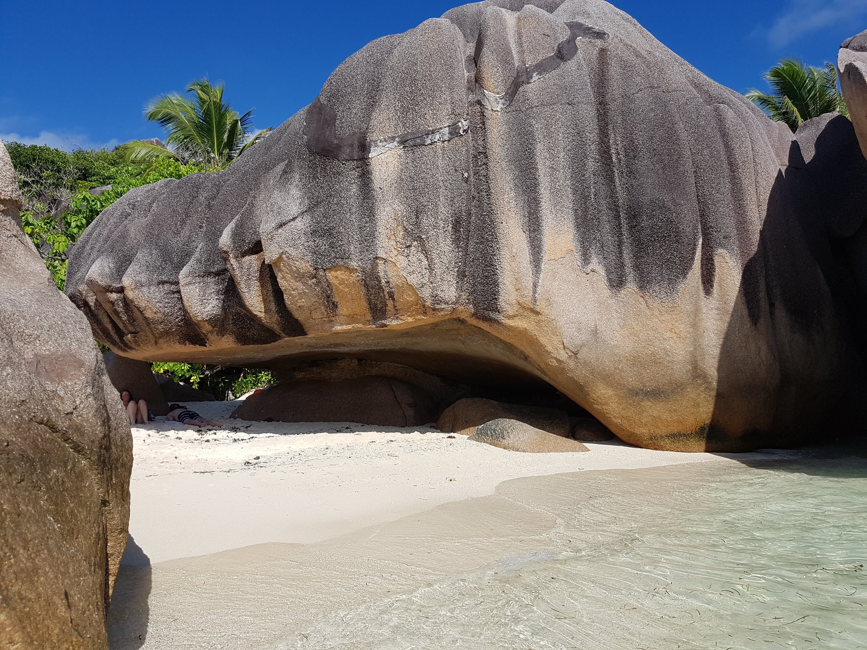 Der Drache von la Digue