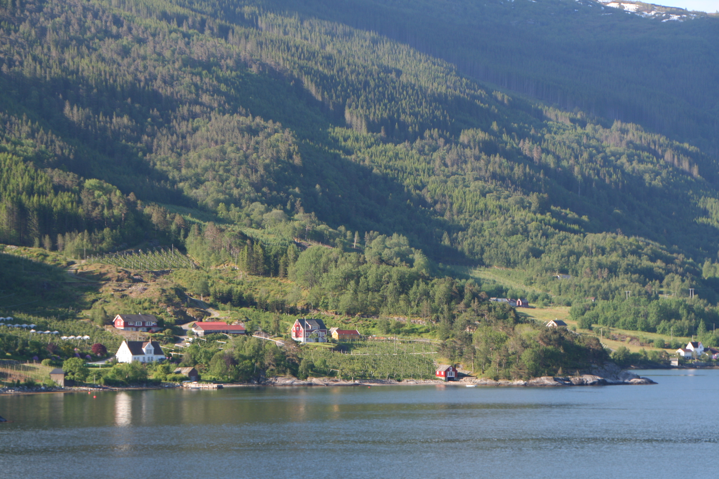 Im Hardangerfjord