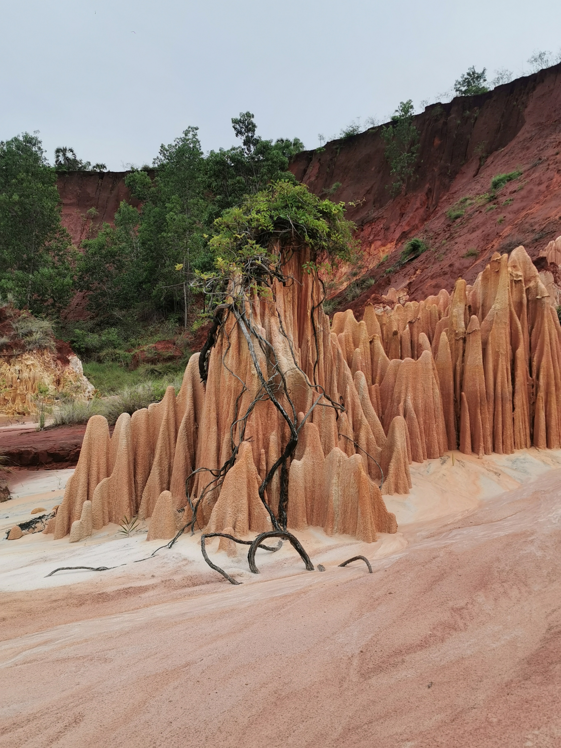 Seychellen Madagascar Mauritius . Schönste Tour