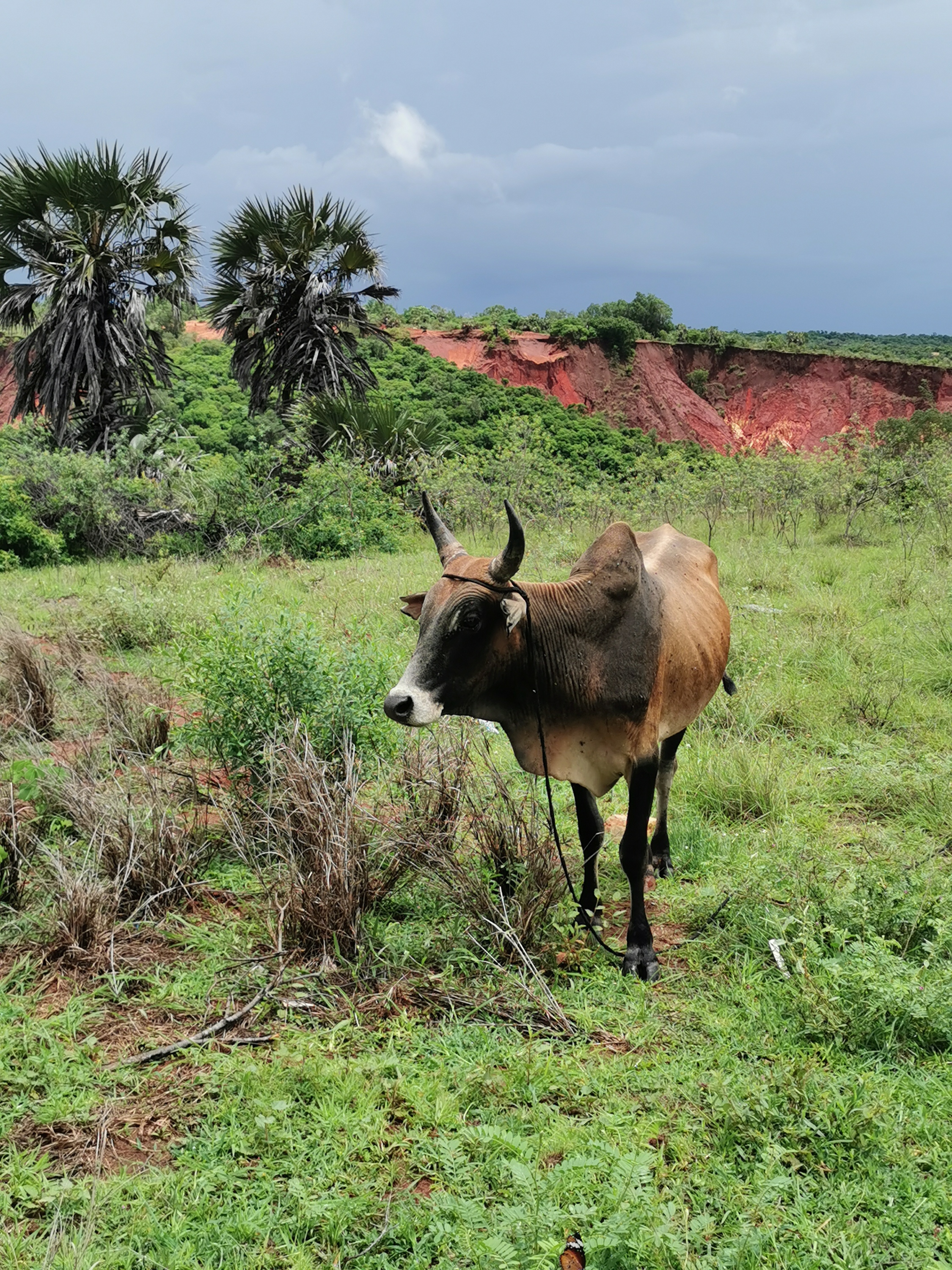 Seychellen Madagascar Mauritius . Schönste Tour