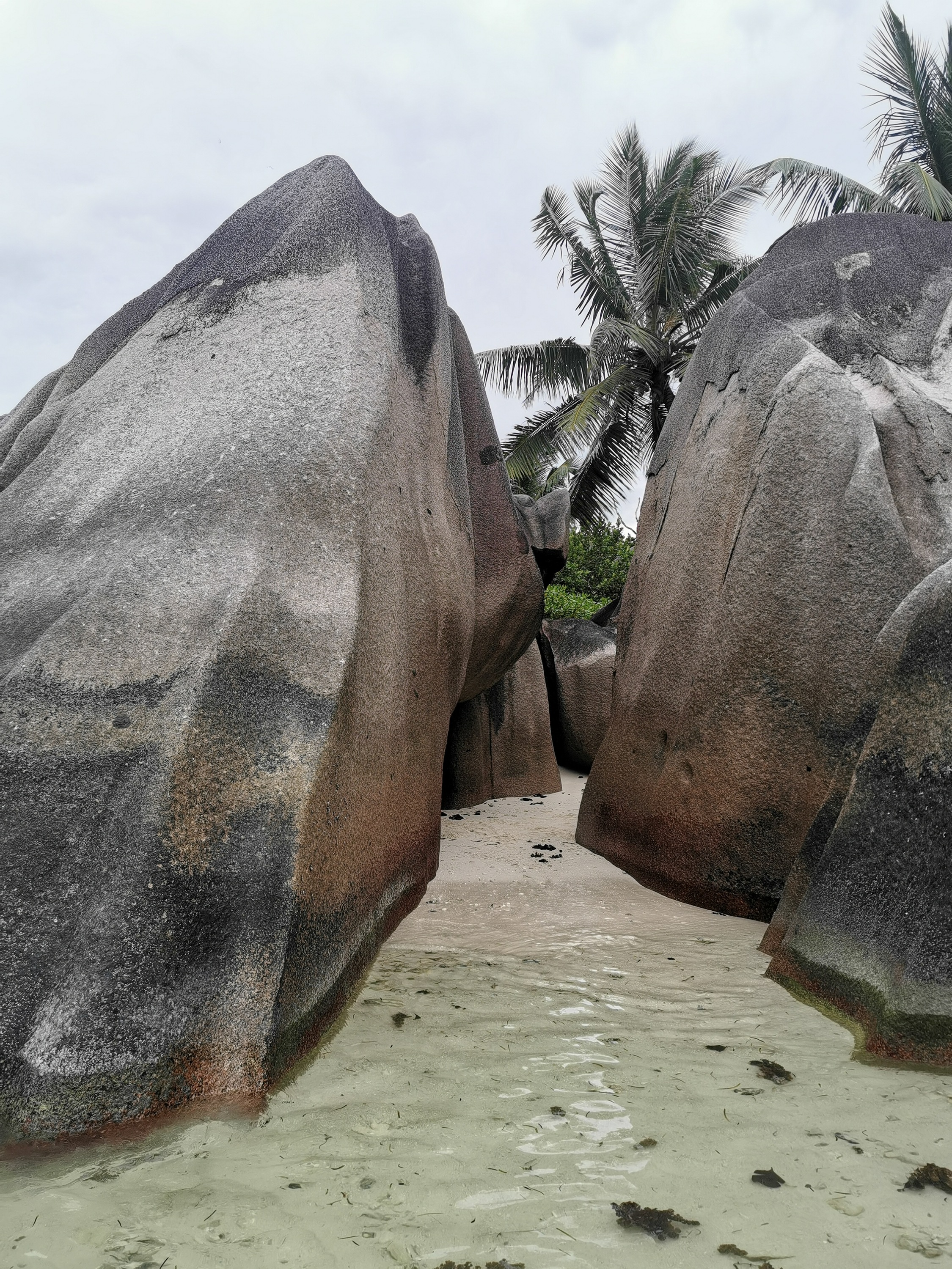 Seychellen Beste Tour. AIDA Blu