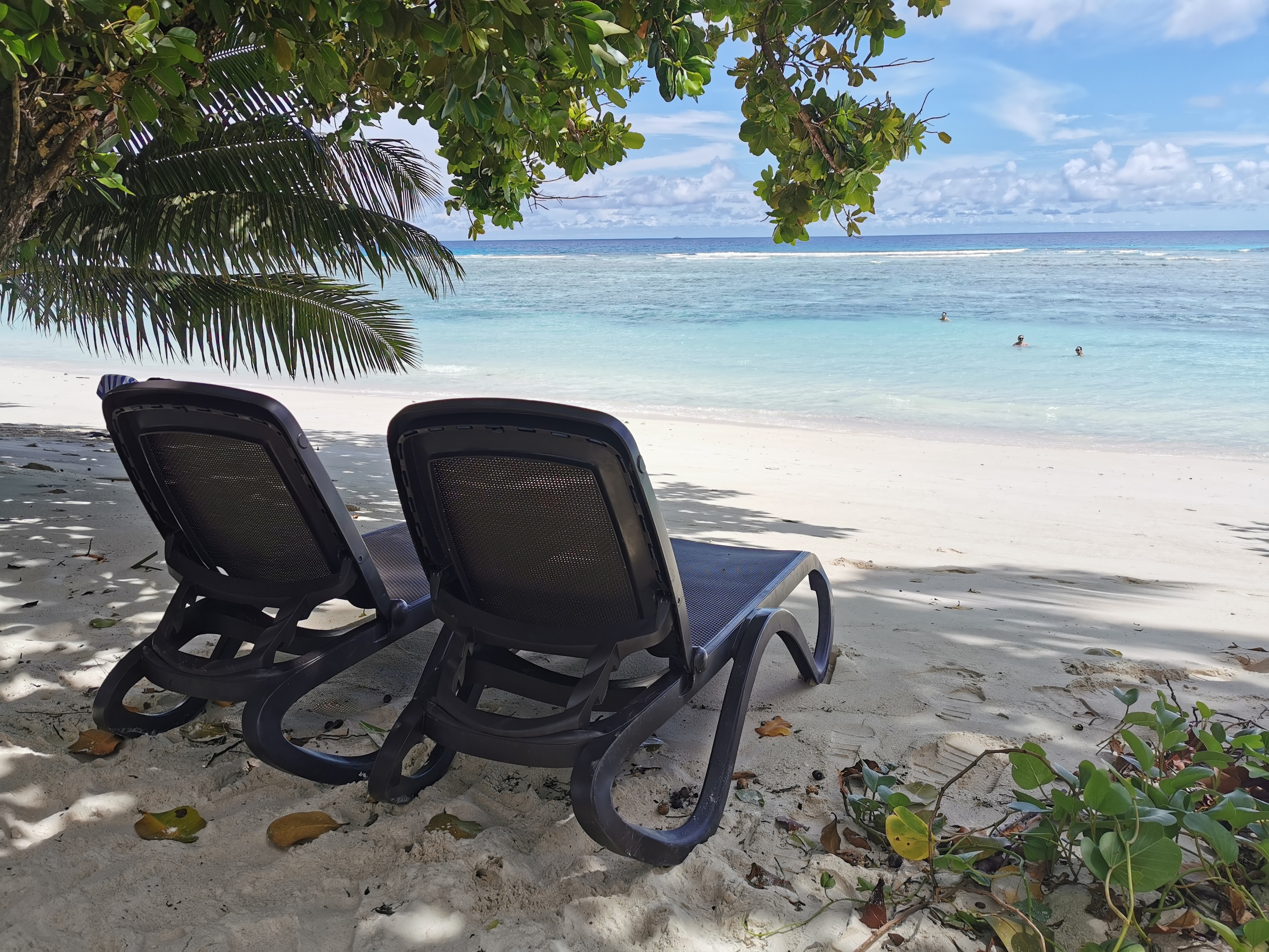 Seychellen Beste Tour. AIDA Blu