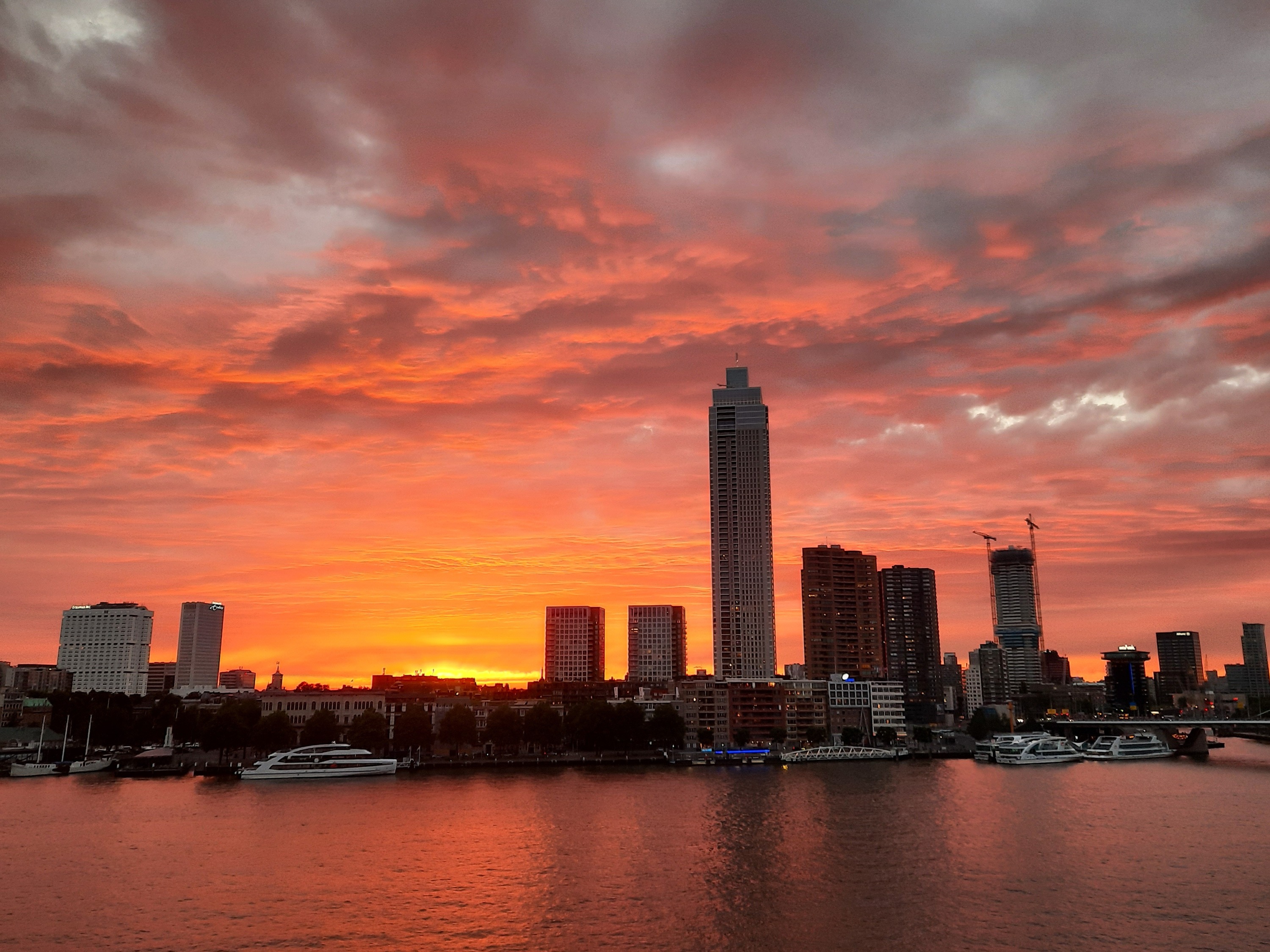 Sonnenuntergang in Rotterdam