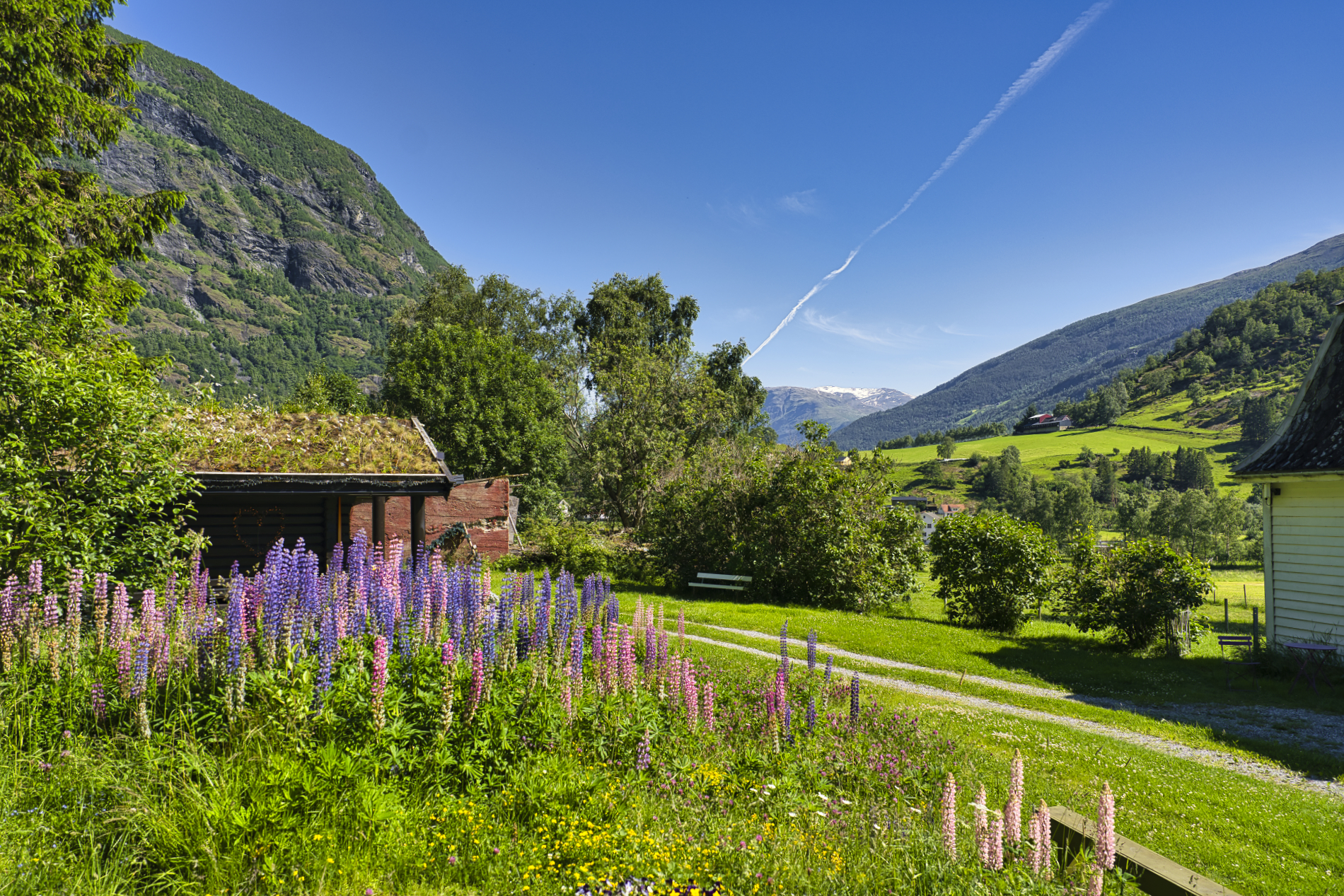 Im Flåmsdalen