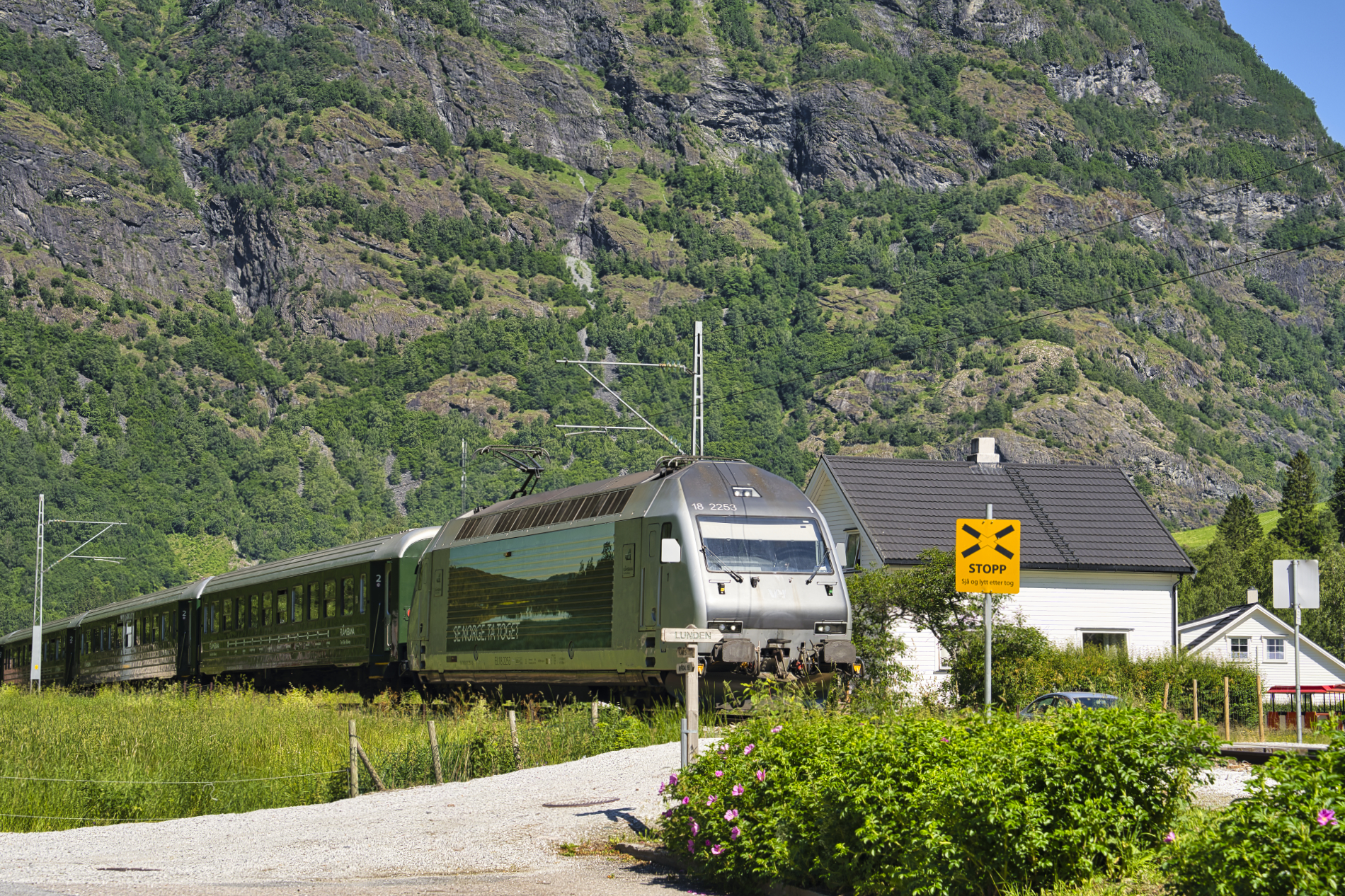 Flåmsbana auf dem Weg nach Myrdal.