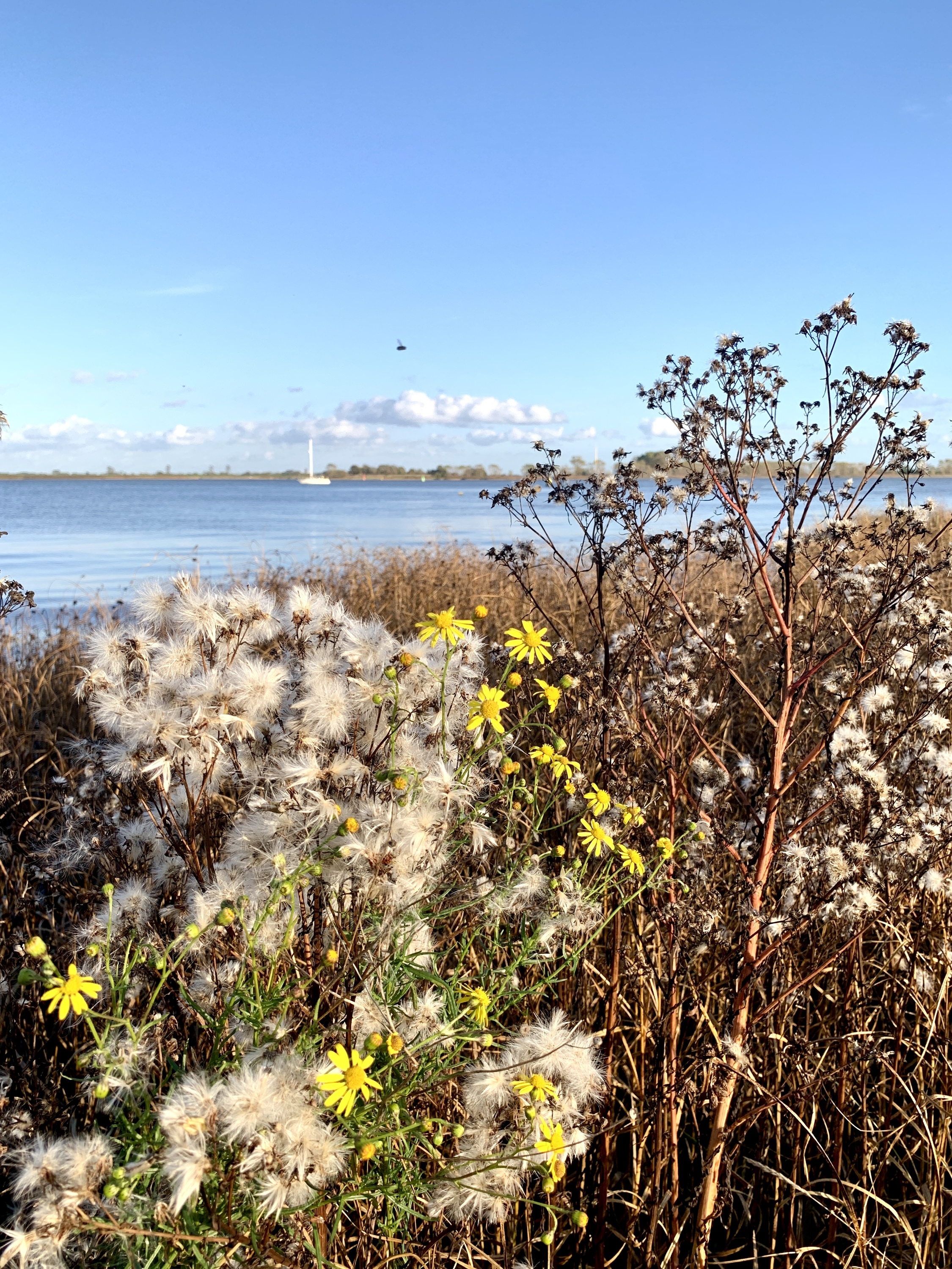 Herbst an der Nordseeküste