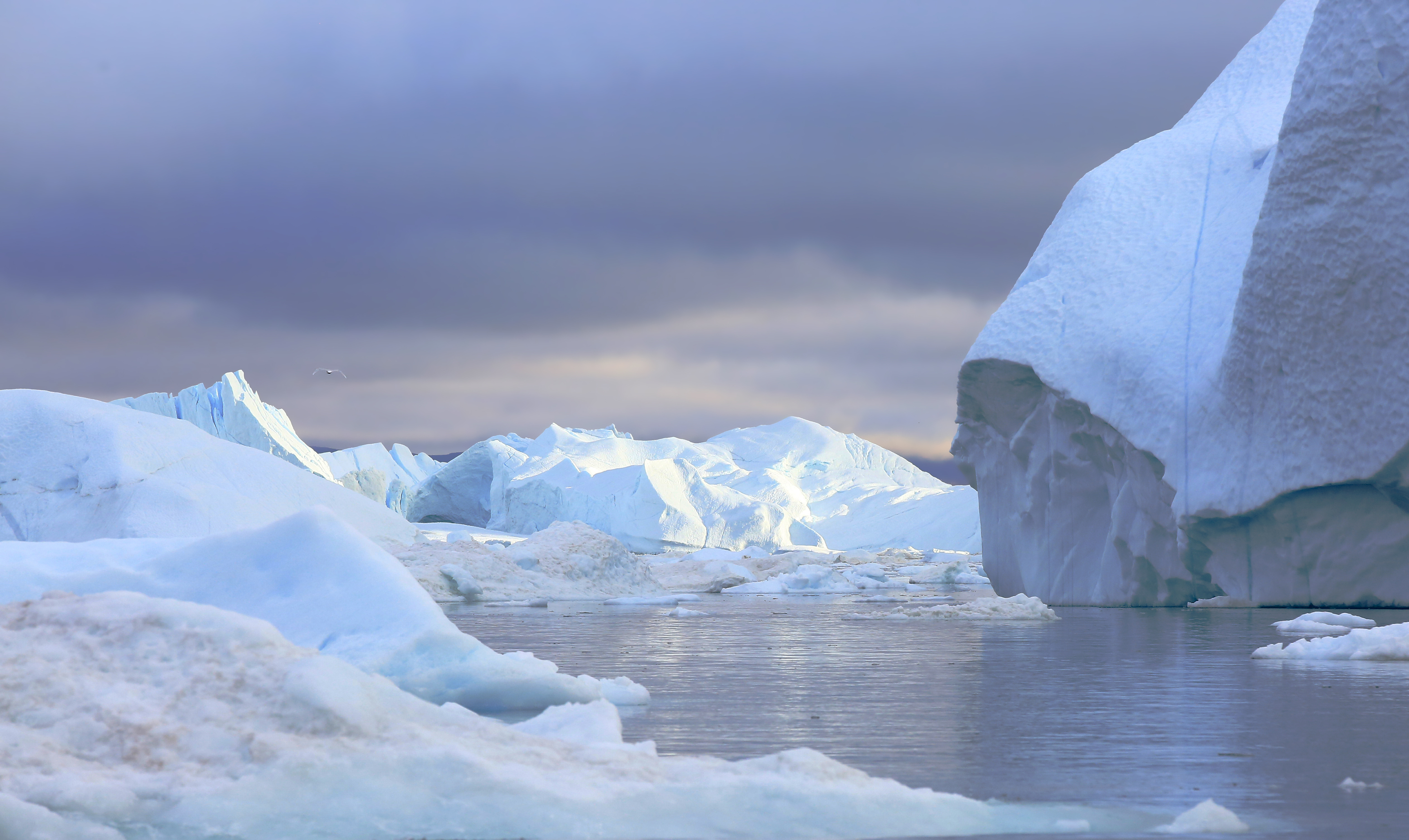 Inmitten des Eisfjords