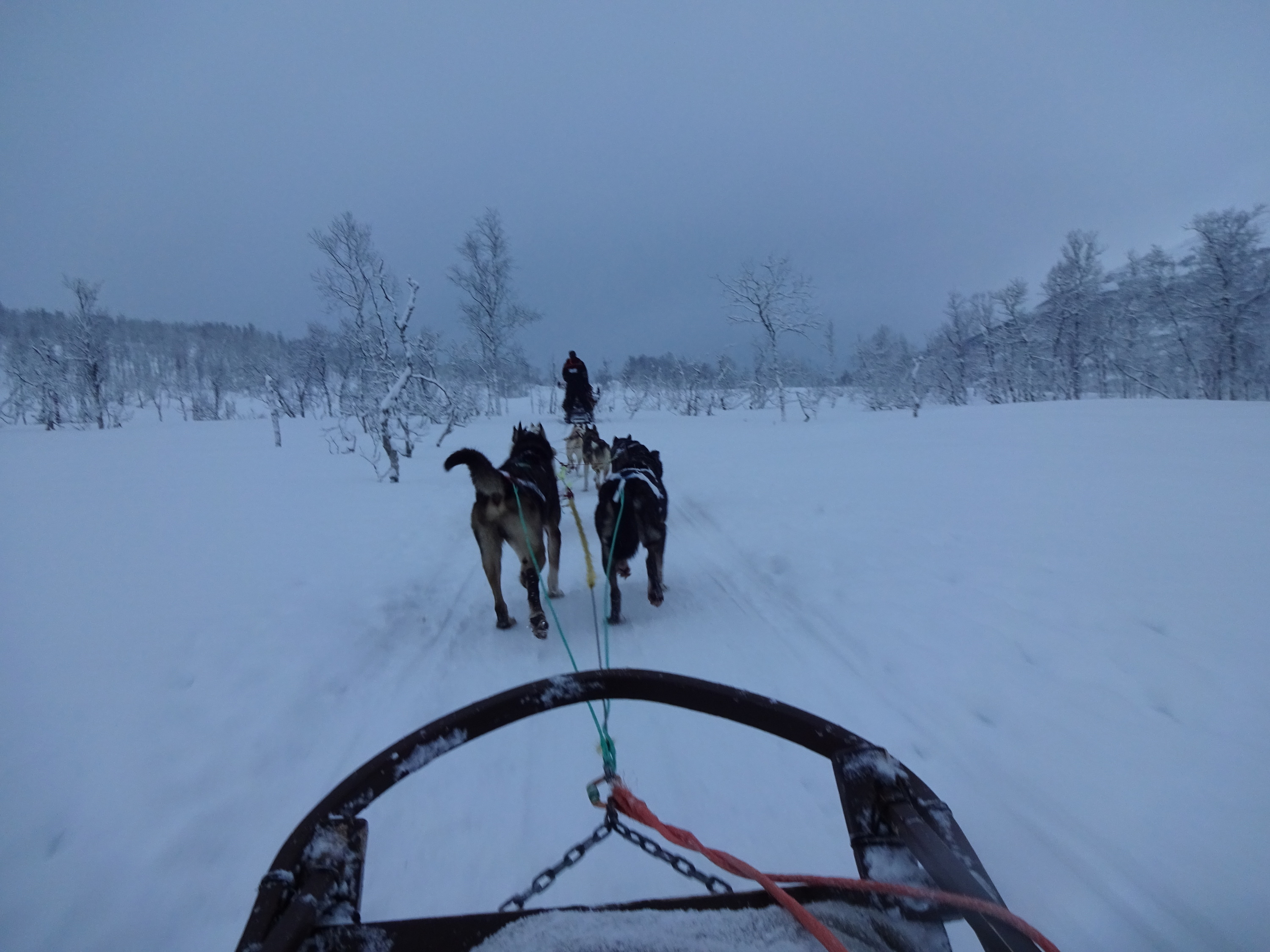 Winter im hohen Norden