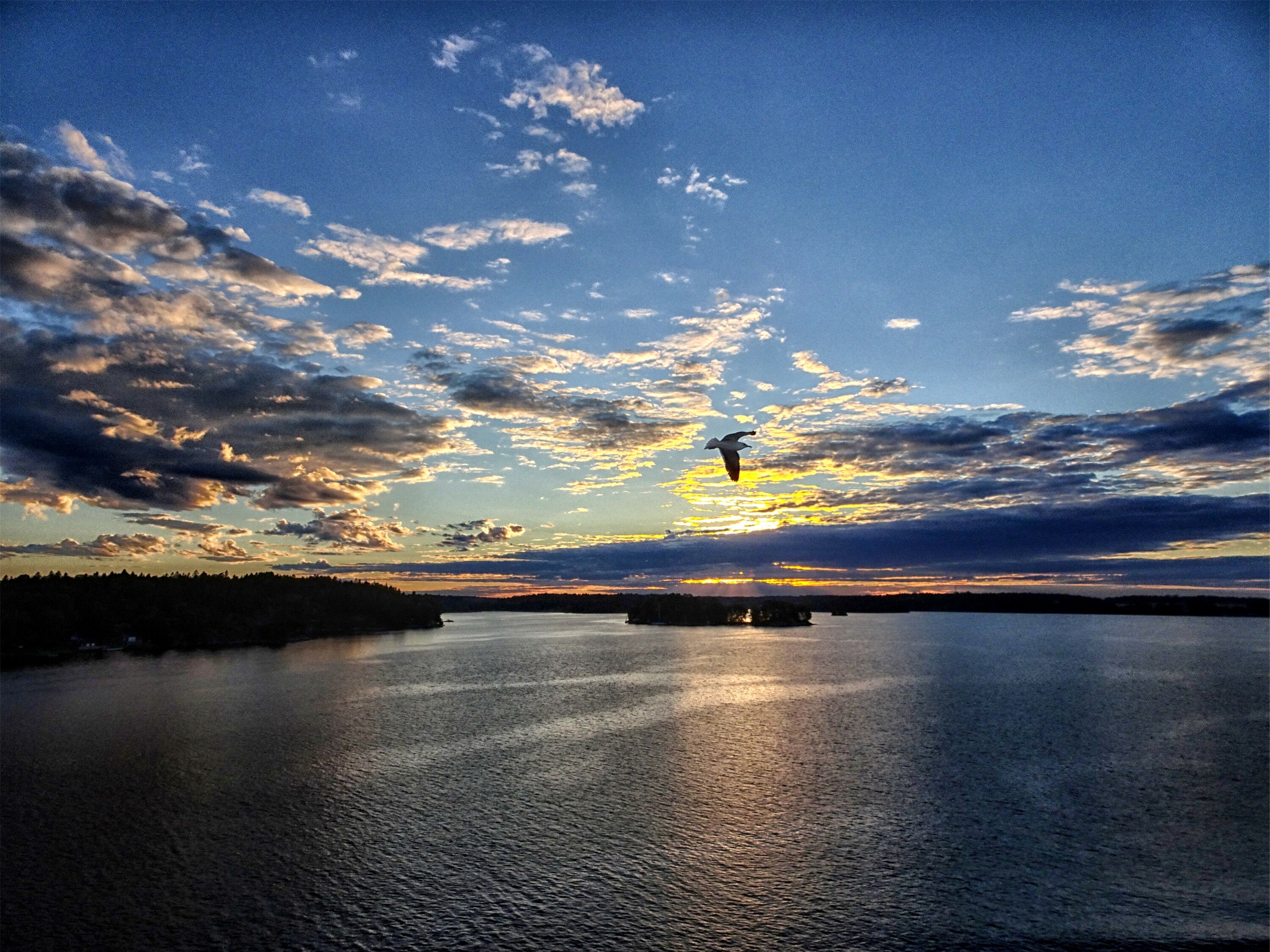 Schärenfahrt am Abend vor Stockholm