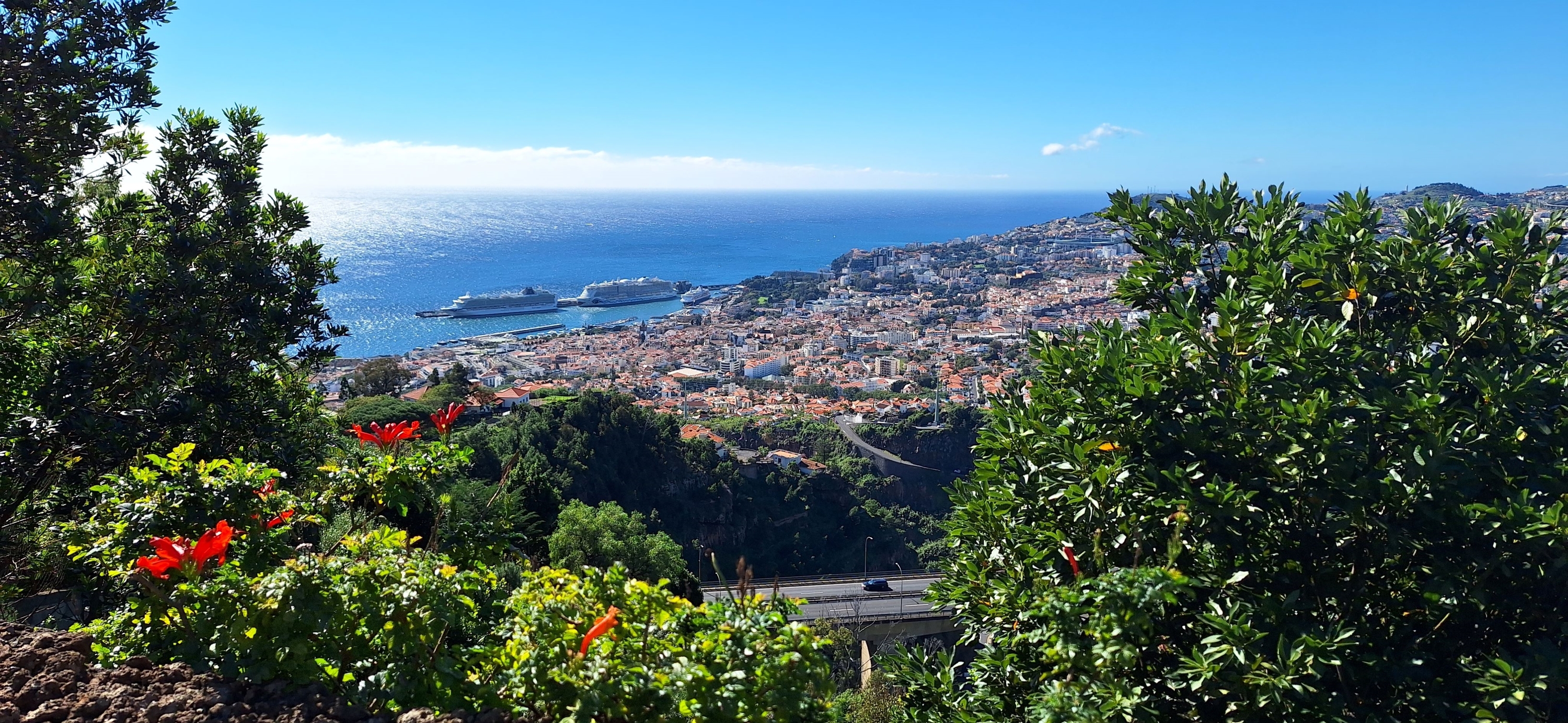 Madeira Botanischer Garten