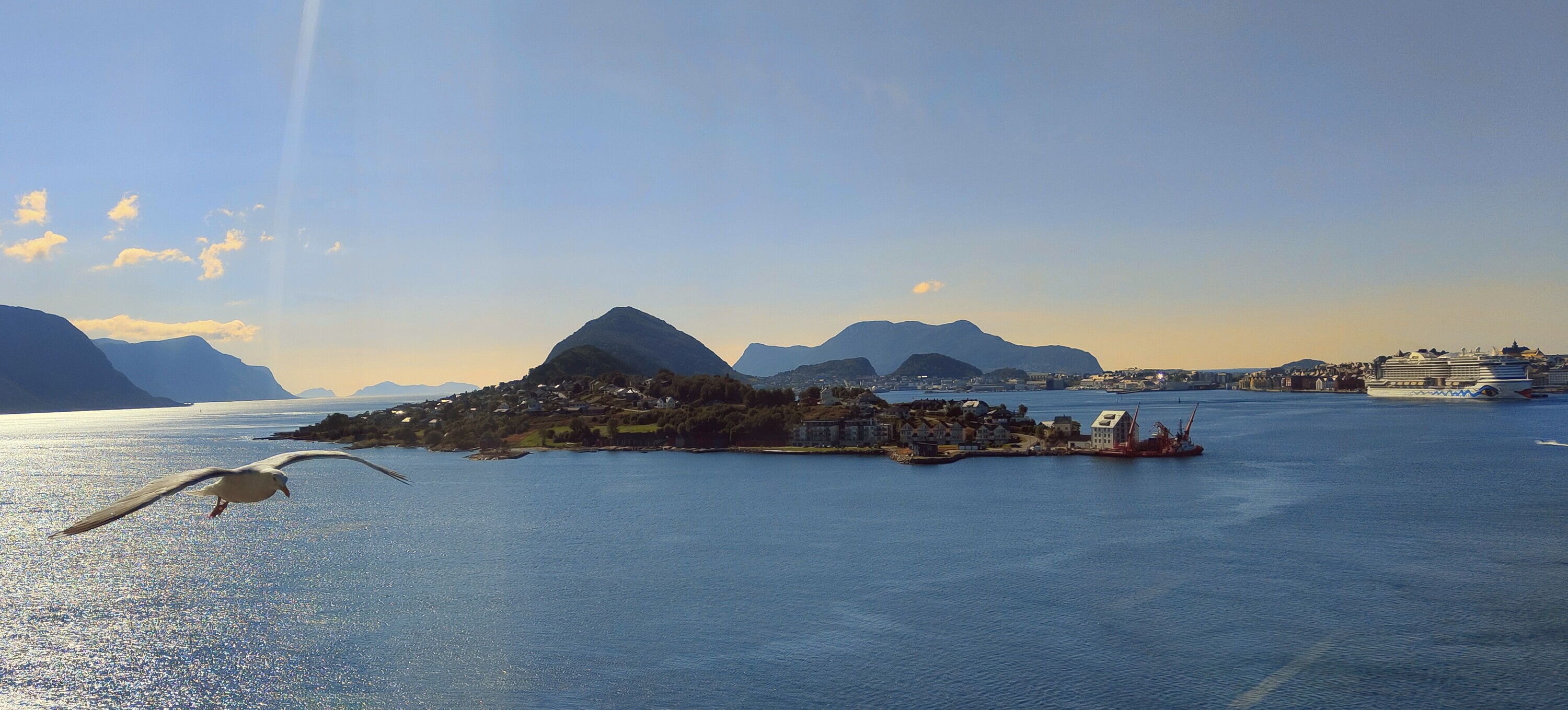 "Ihr seid in Ålesund!", tat diese Möwe kund!