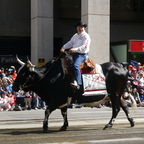 Calgary Stampede