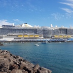 Aida Nova in Fuerteventura