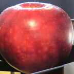 Big Apple historisches Museum Odense