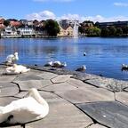 Topwetter in Stavanger - hoffentlich auch in der nächsten Woche!