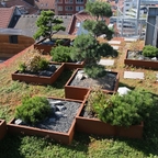 Aarhus - das ARoS und der Roof-Garden von Kaufhaus Salling