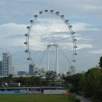 Singapur Flyer (Riesenrad)
