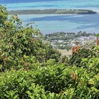 Freundin hat einen EBike Ausflug gemacht, Port Louis, Maritius